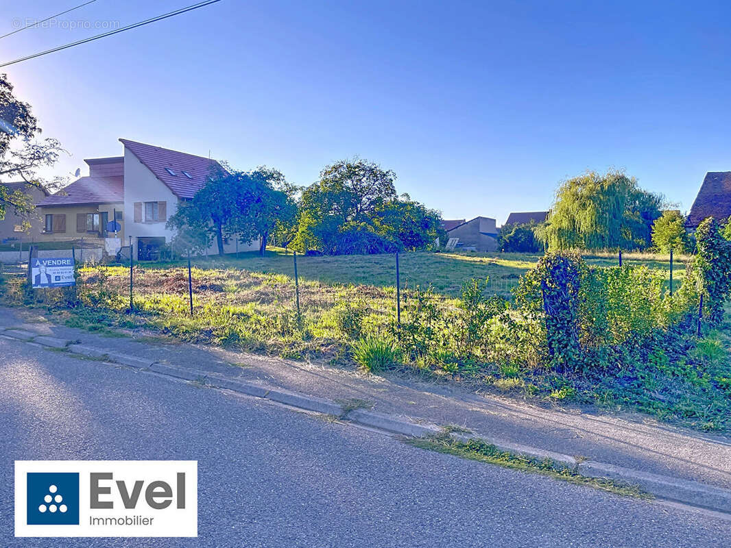 Terrain à BENESTROFF