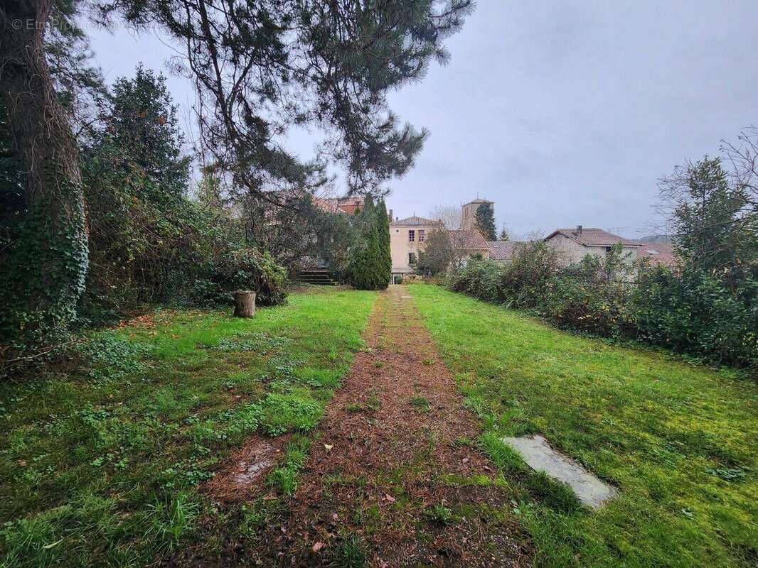 Confolens - Deux maisons avec caractre jardin prive - possible business/maison pour grand famille - photo 14