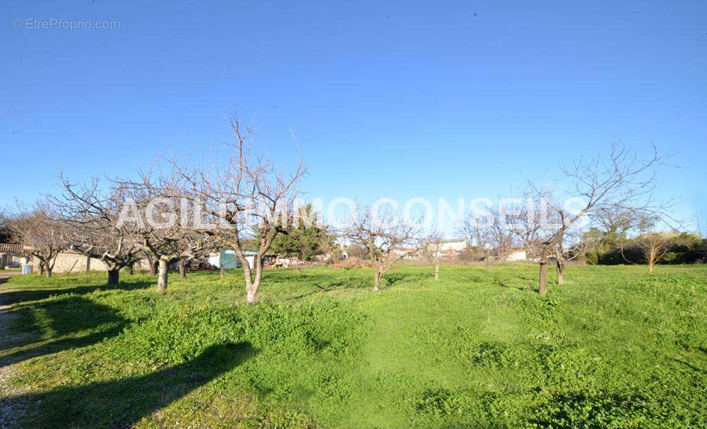 Terrain 503m2 à vendre à Puget-sur-Argens - Terrain à PUGET-SUR-ARGENS