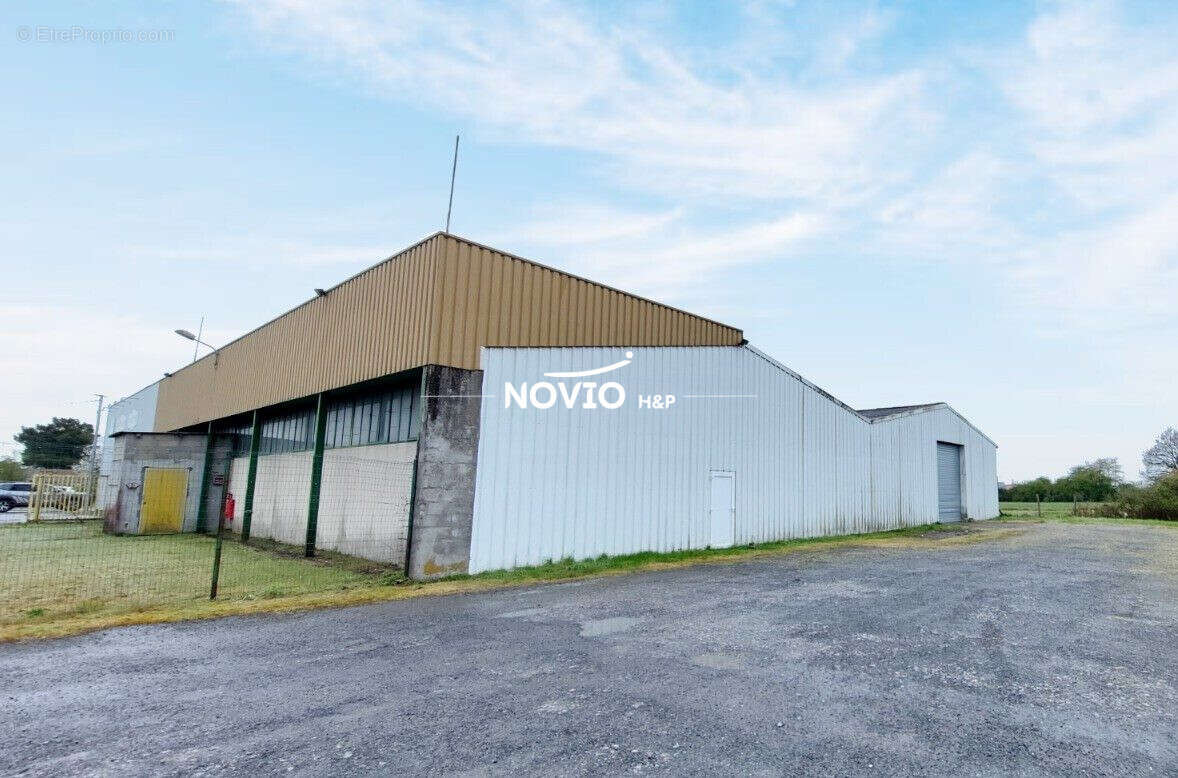 Commerce 1 300 m² à vendre à Lussac-Les-Chateaux (86320) - photo 2