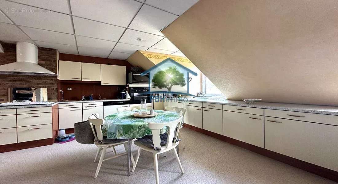 SENTHEIM (68) - Hôtel Restaurant Appartement privé 440m² sur 14 ares - photo 10