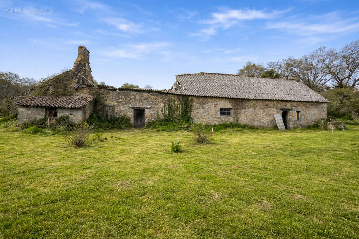Maison à SURZUR