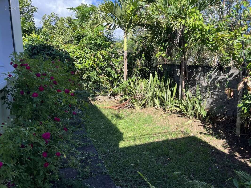 Maison à BASSE-TERRE