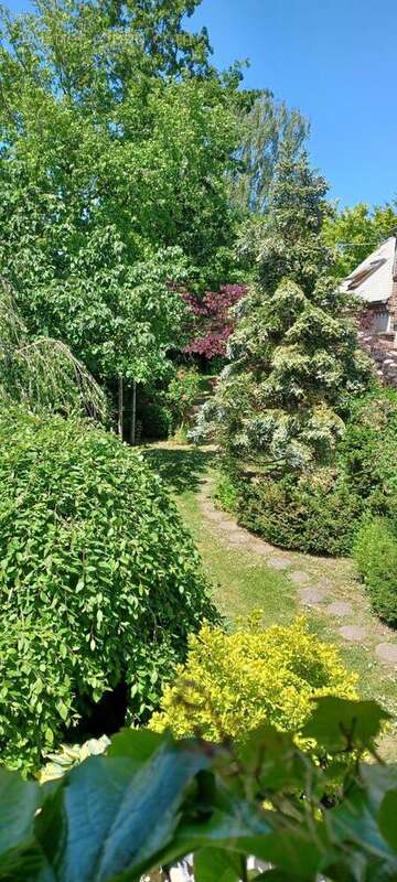 Photo 3 - Maison à BOURTH