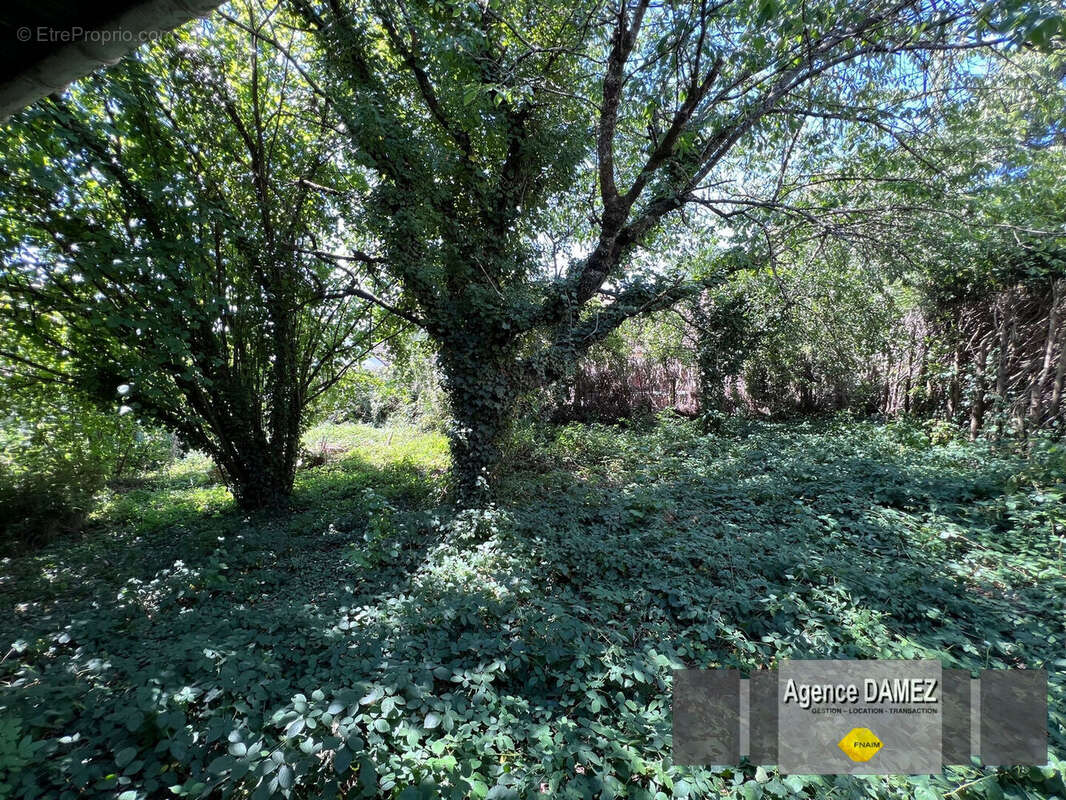 3 KM Dourdan, SAINTE-MESME, maison traditionnelle sur sous-sol, 7 pièces 175 m² - photo 3