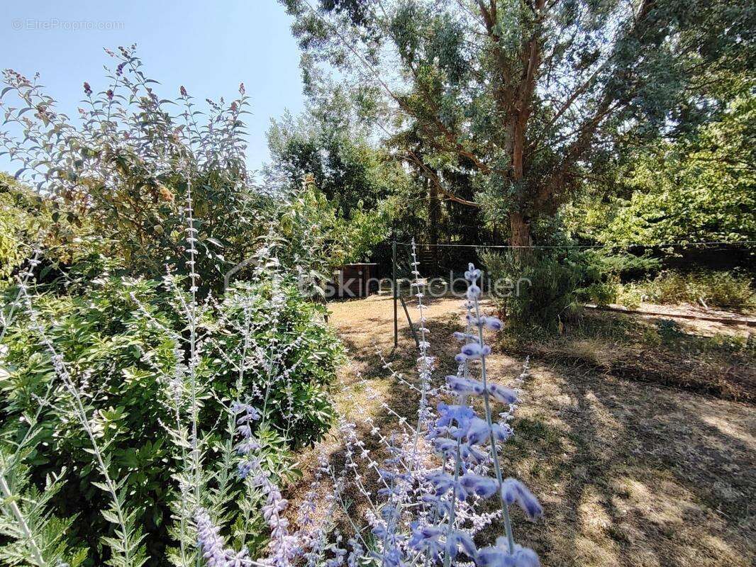 Maison à NEUVILLE-SUR-BRENNE