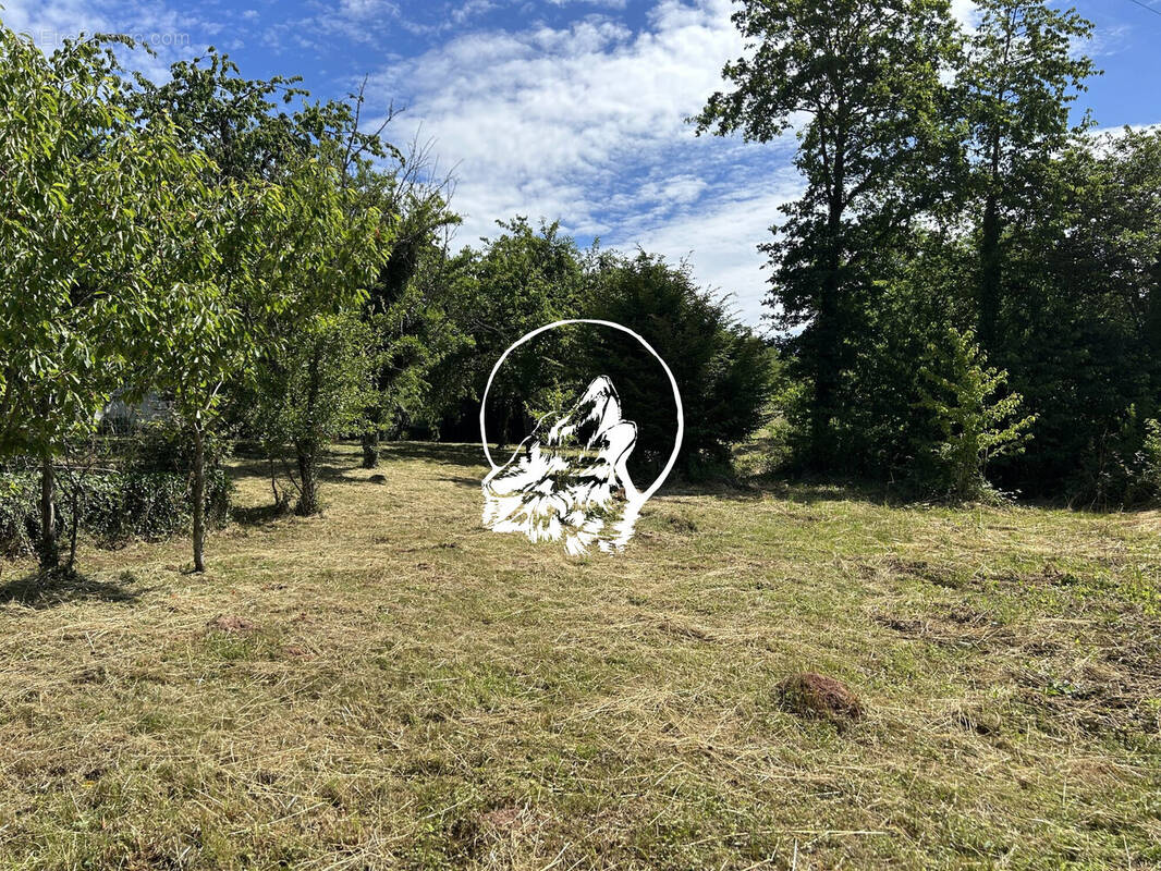 Terrain à LONGEVILLE-LES-SAINT-AVOLD
