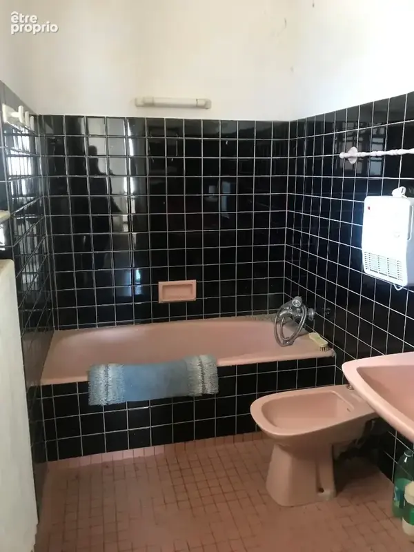 Maison 8 pièces 180 m² à vendre à Thonon-Les-Bains (74200) - photo 8