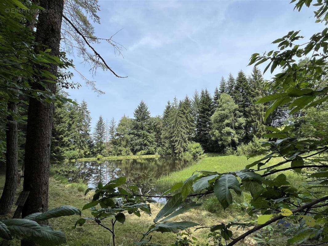 Maison à MOISSANNES