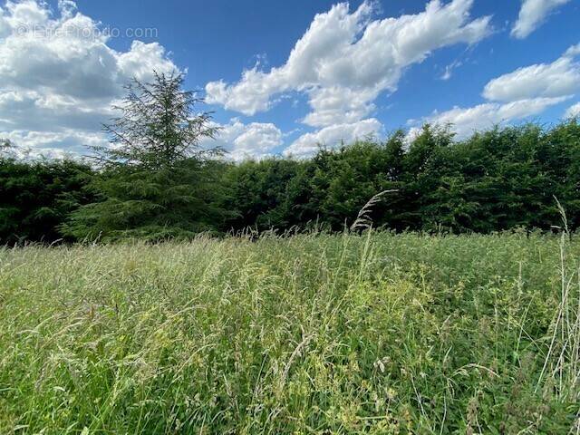 Terrain à AUBEVOYE