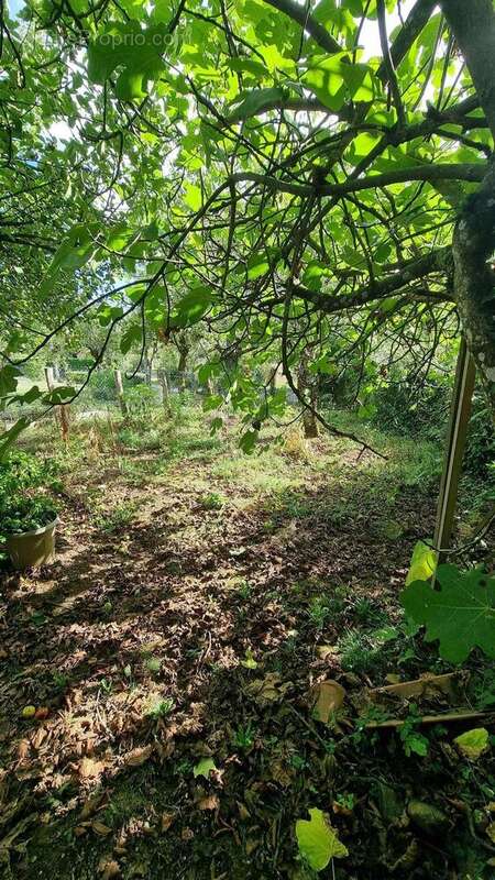 Jardinet - Maison à FIGEAC