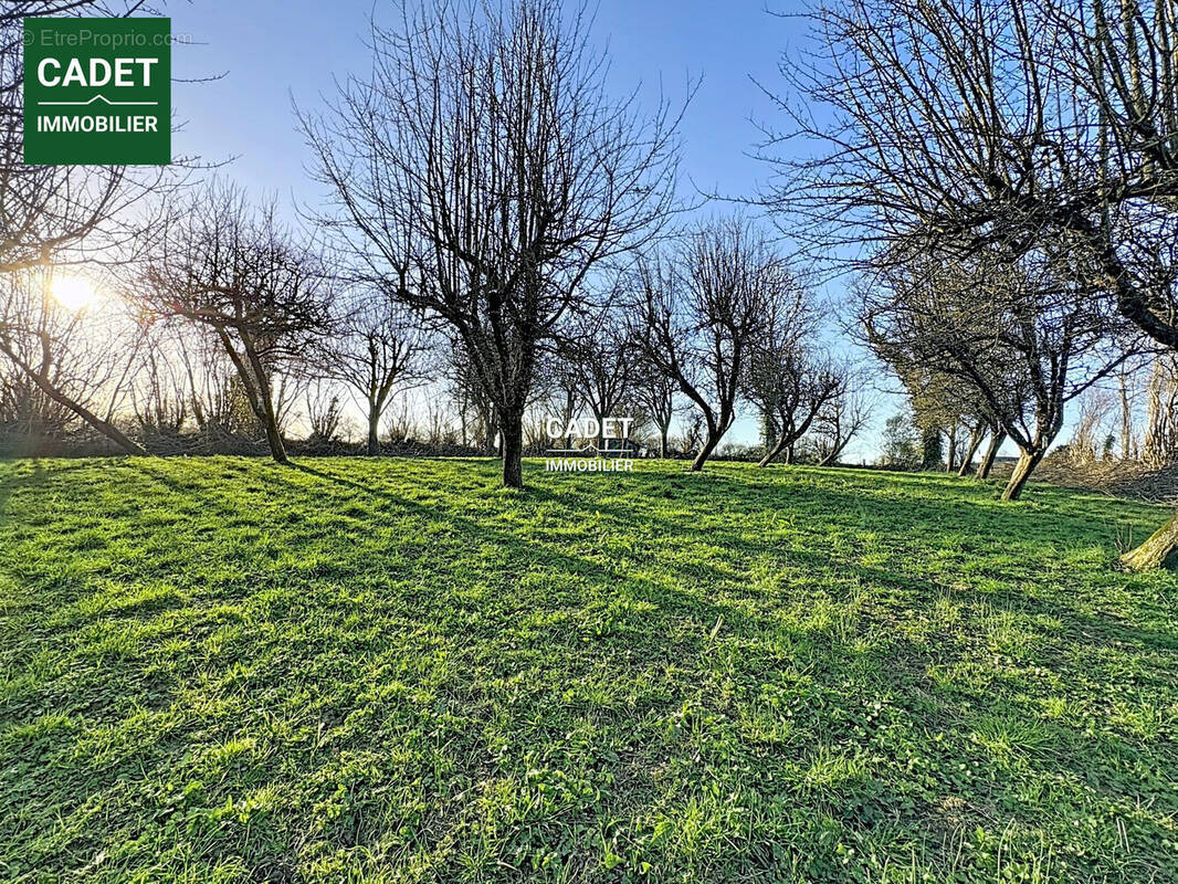 Terrain à LA HAYE-PESNEL