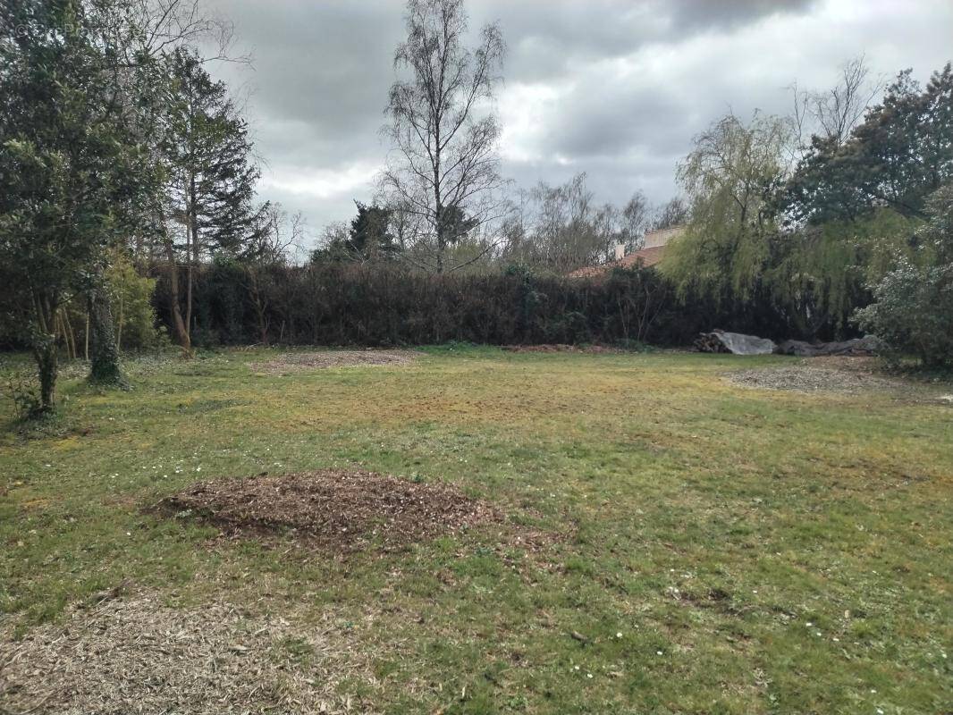 Terrain à BASSE-GOULAINE