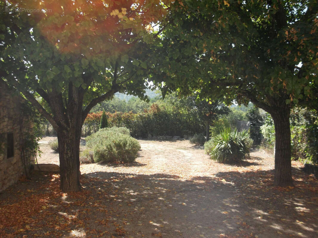 En exclusivité - Authentique bergerie Provençale du XIXème siècle à fort potentiel - photo 5