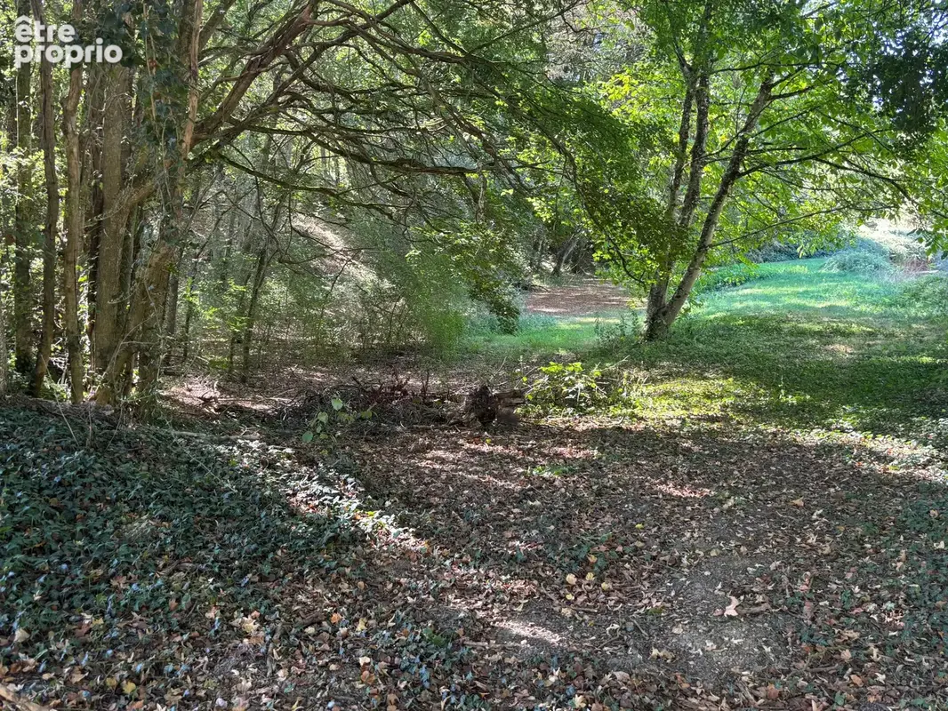 Maison à vendre 5 pièces SAINT PRIVE (89) avec grand terrain arboré de 3 889 m² – Calme et nature - photo 12