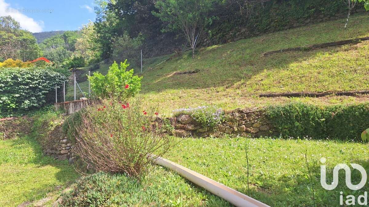 Photo 9 - Maison à ARLES-SUR-TECH