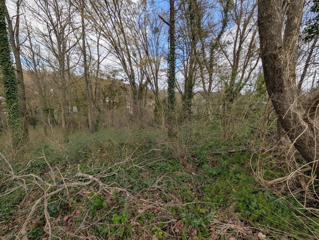 Terrain à FONTAINE-LE-PORT