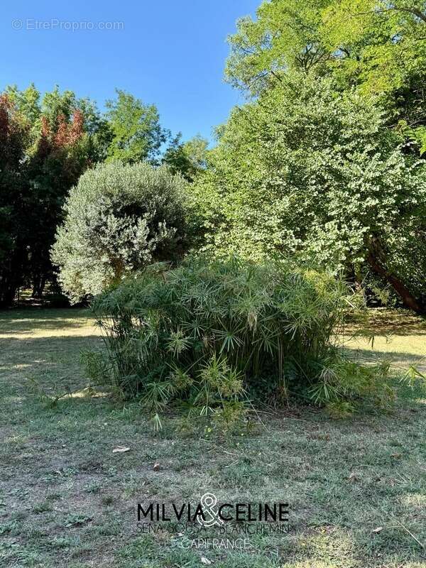 Propriete à vendre 32 pièces proche de CARCASSONNE (11) 2 habitations 522m2+ parc 2,82 hectares + dépendances - photo 51