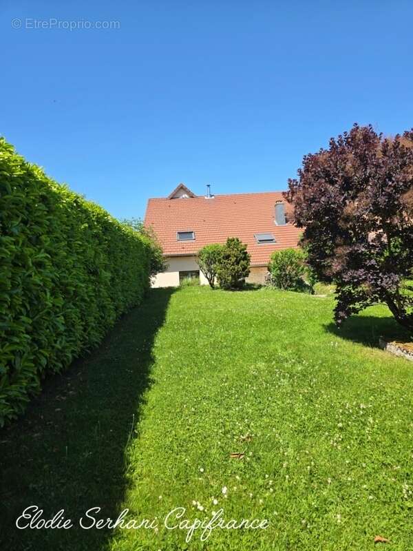 Maison à MONTBELIARD