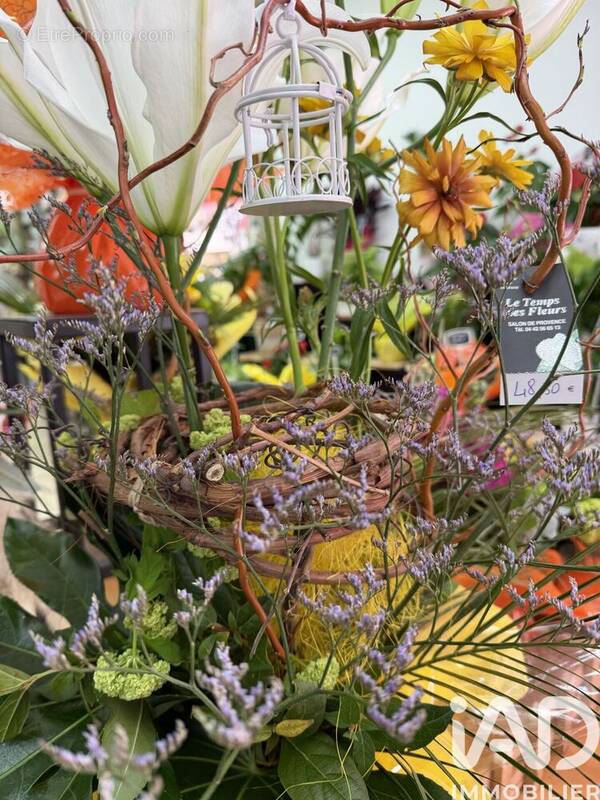 Photo 1 - Commerce à SALON-DE-PROVENCE