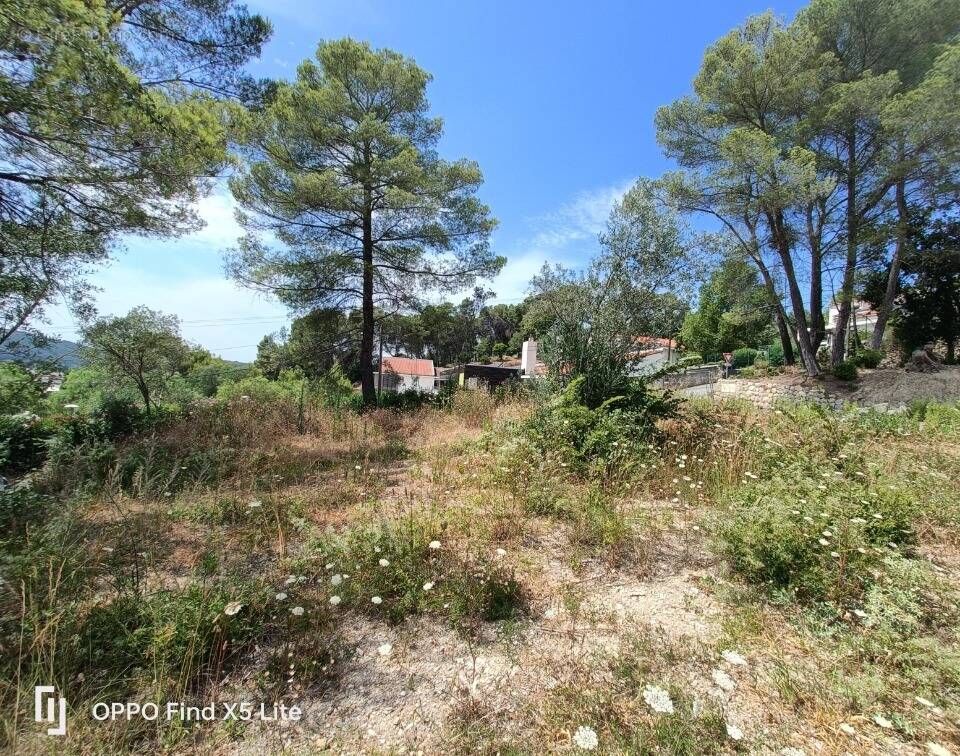Terrain à DRAGUIGNAN
