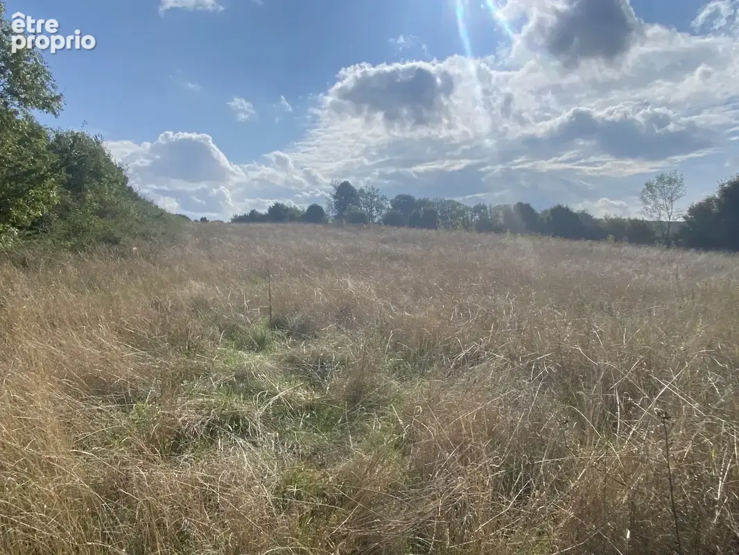 A VENDRE La Cavalerie Superbe terrain constructible 5600 m2 A viabiliser - photo 3