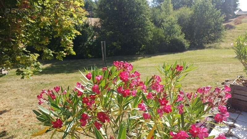 Propriete/Gites 6 hectares, Proche de THENON (24) - photo 6