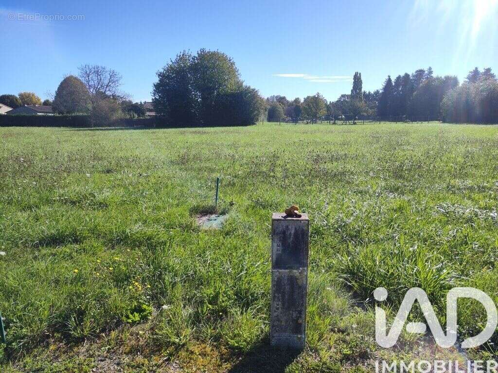 Photo 2 - Terrain à CHAMPAGNE-LE-SEC