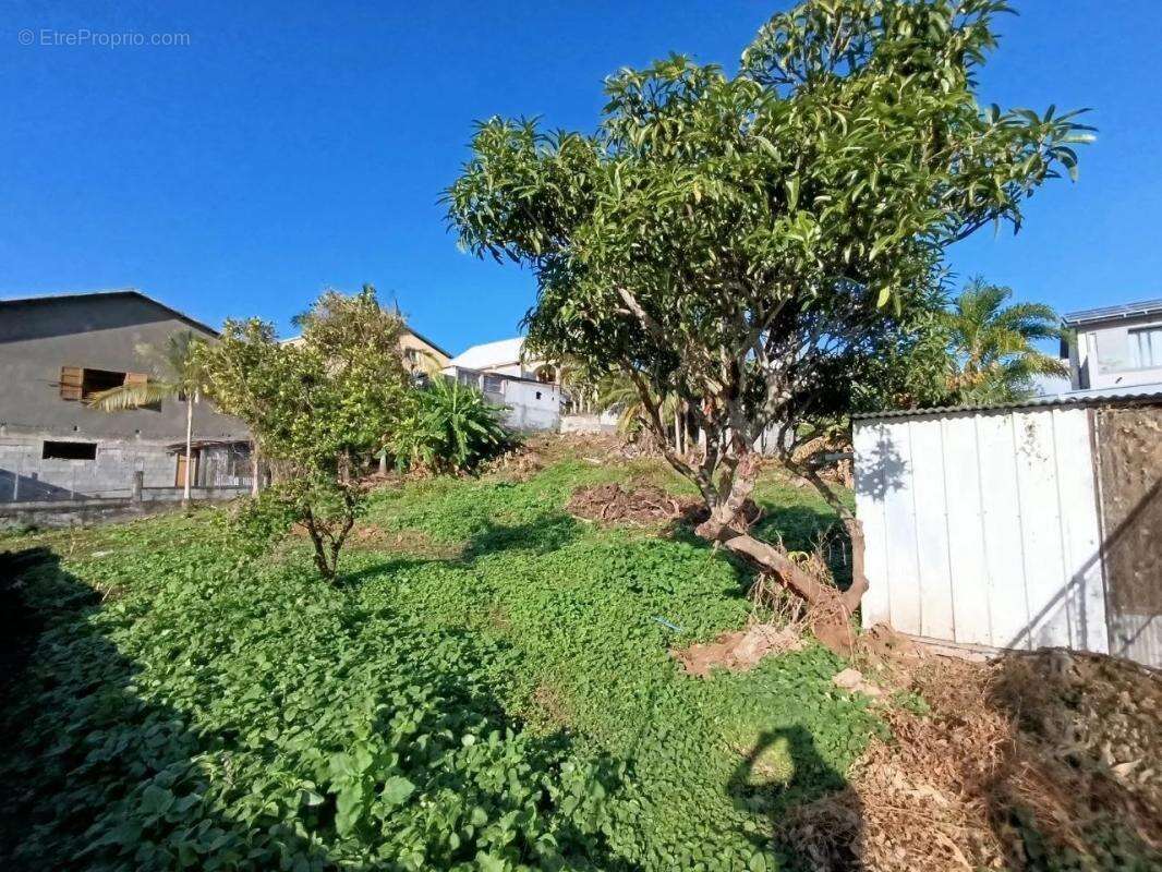 Terrain à LE TAMPON