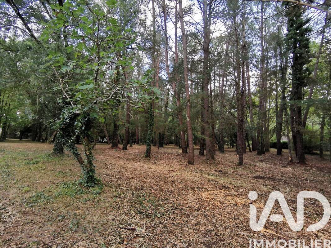 Photo 1 - Terrain à CENNE-MONESTIES