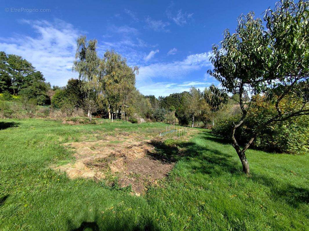 Terrain à LA SEAUVE-SUR-SEMENE