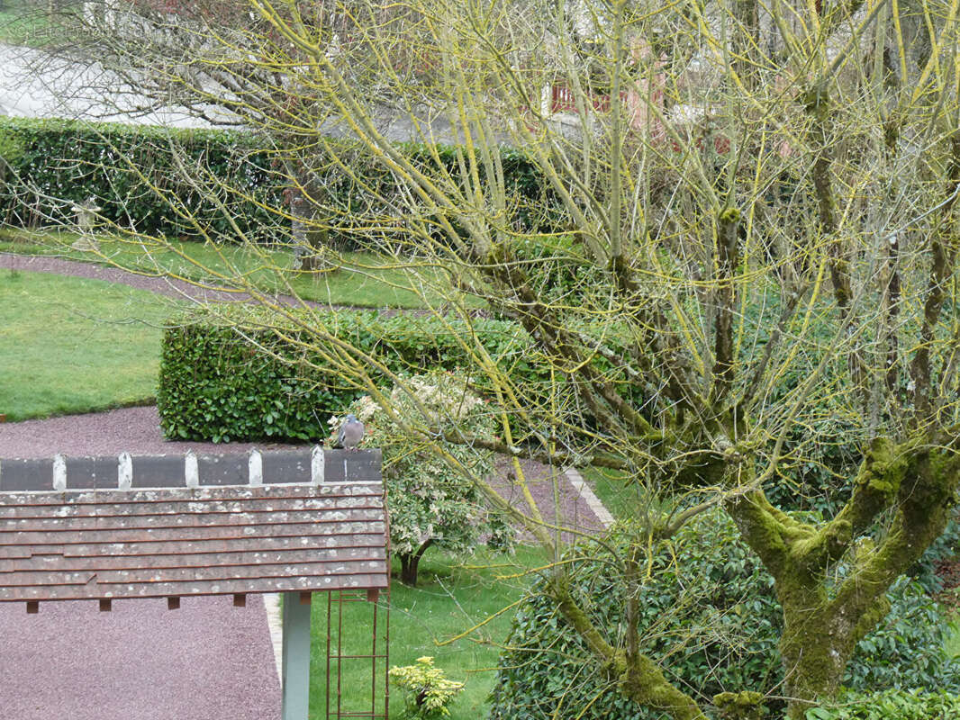 Appartement à BAGNOLES-DE-L'ORNE