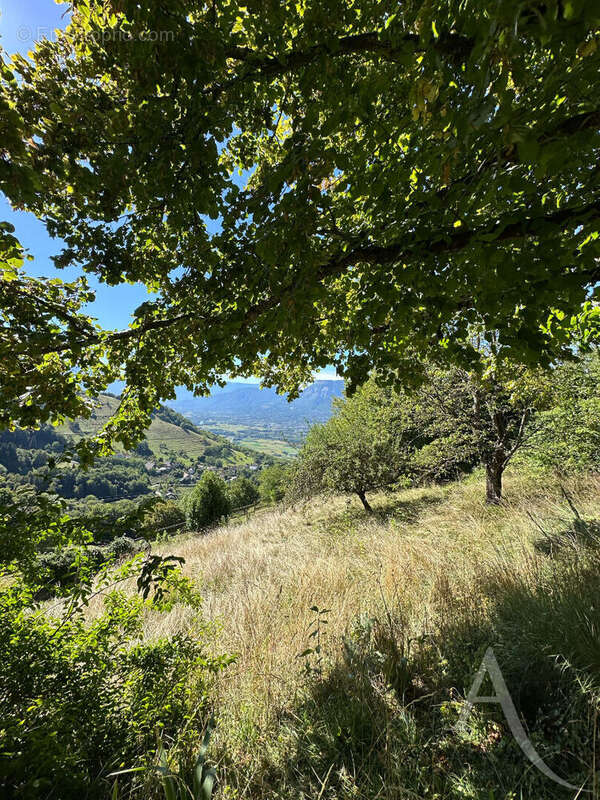 Maison à SAINT-JEAN-LE-VIEUX
