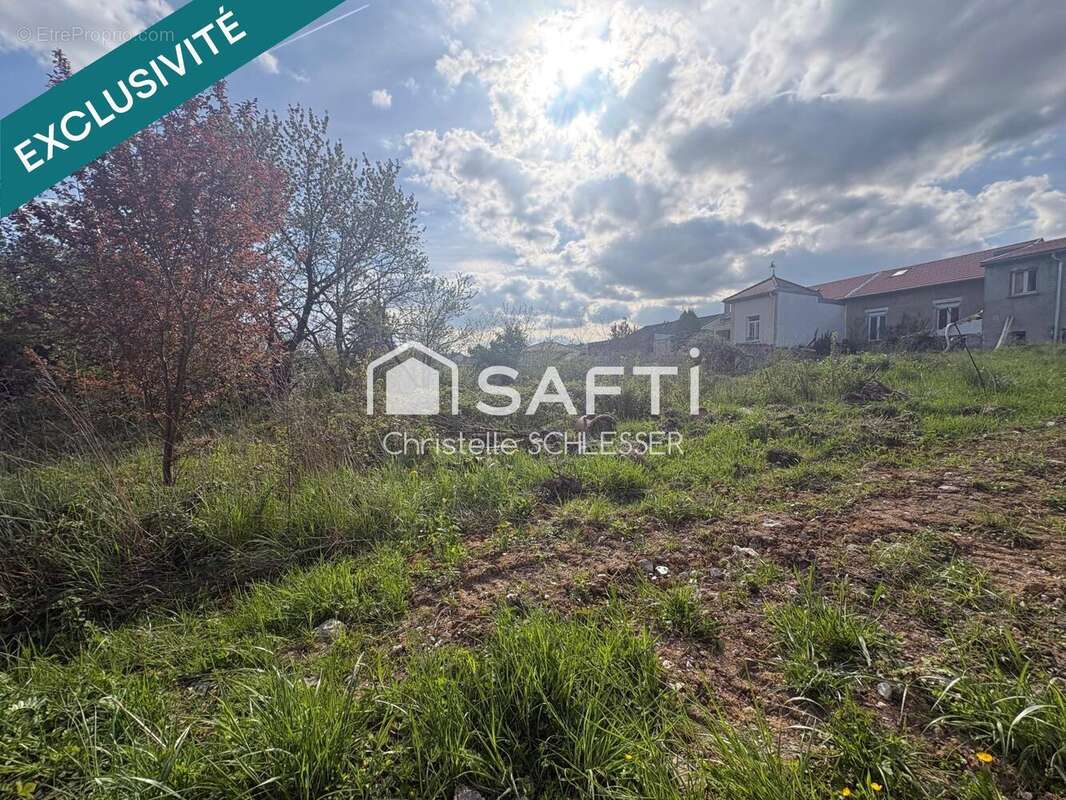 Photo 9 - Terrain à SAINT-NICOLAS-DE-PORT