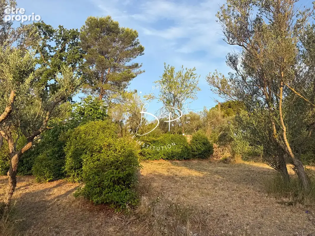 Terrain Lorgues 1200 m2 - photo 12