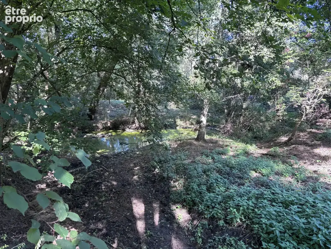 Le Veurdre - Ancien moulin à eau avec une maison spacieuse et un petit bout de rivière sur un terrain de 1,7 h - photo 33
