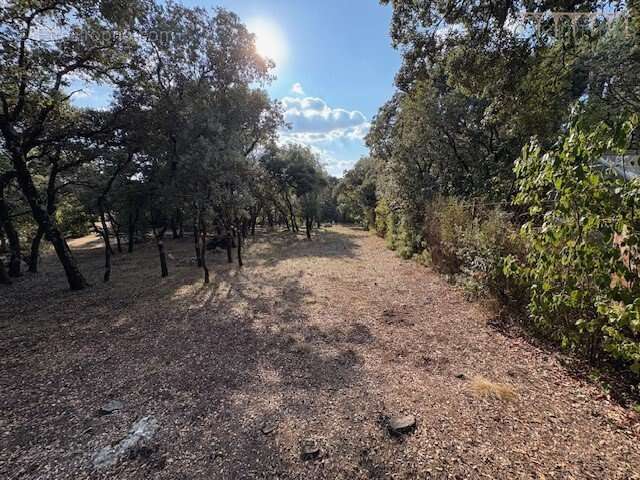 Terrain à SUSSARGUES