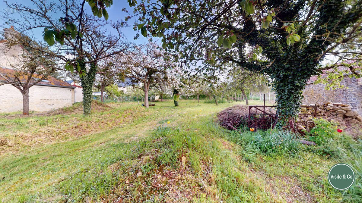 Terrain à OUILLY-LE-TESSON