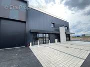 Commerce à MARCLOPT