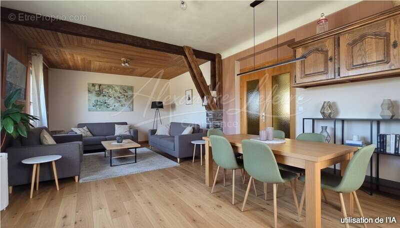 Maison à OSSEJA