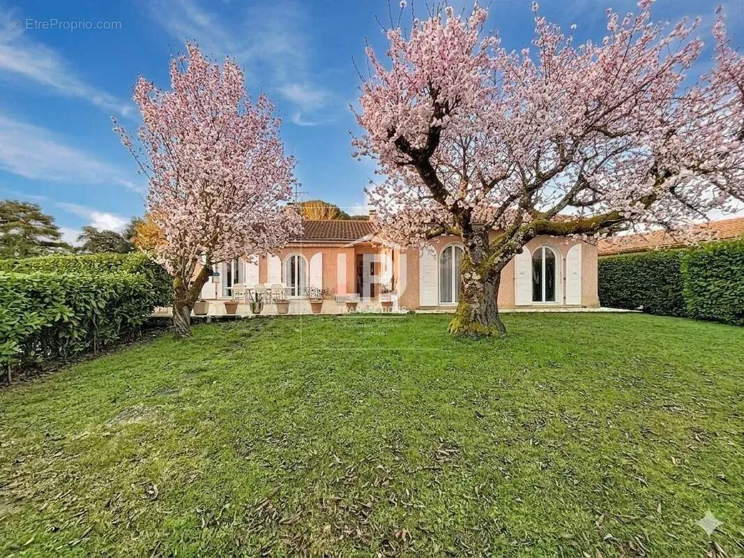 Maison à MURET