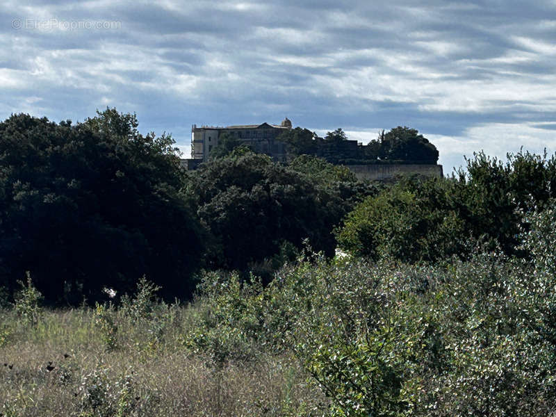 Terrain à GRIGNAN