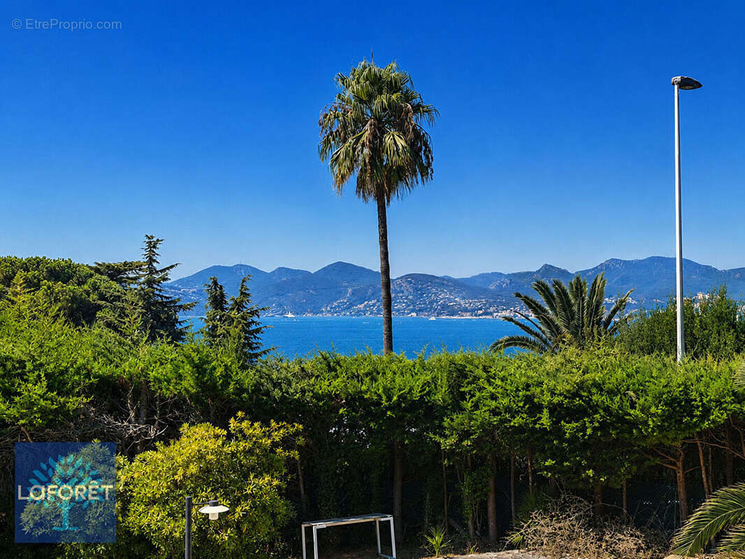 Somptueux 5 pieces cannes- vue mer et suquet - residence de prestige - photo 3
