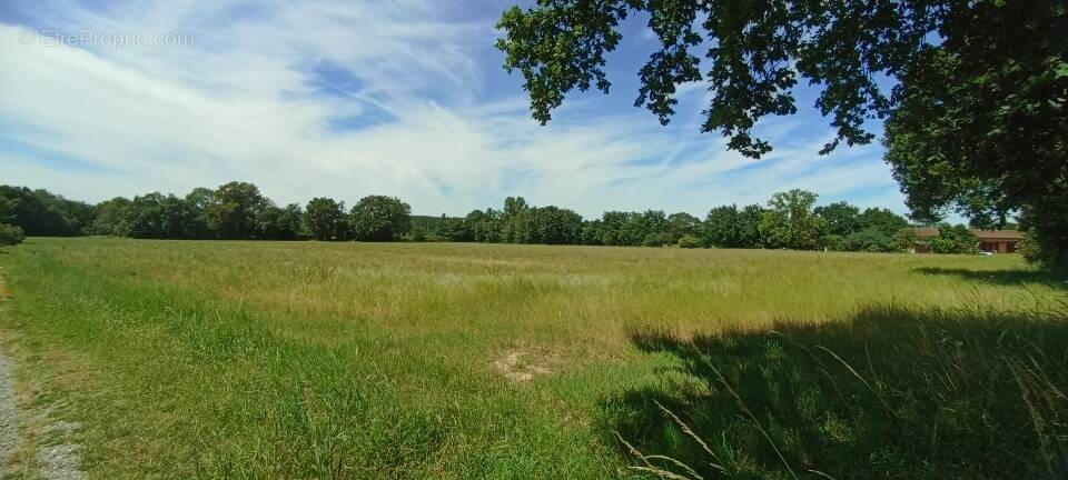 Terrain à PLAISANCE-DU-TOUCH