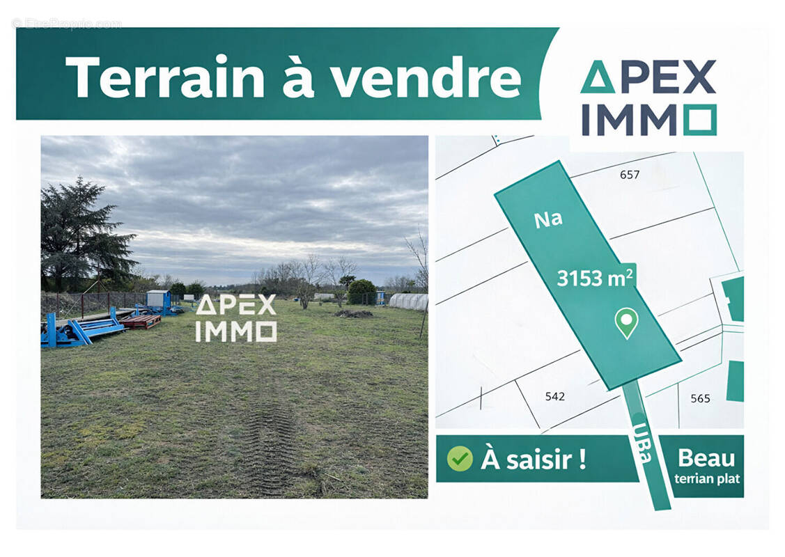 Terrain à SAINT-BENOIT-SUR-LOIRE