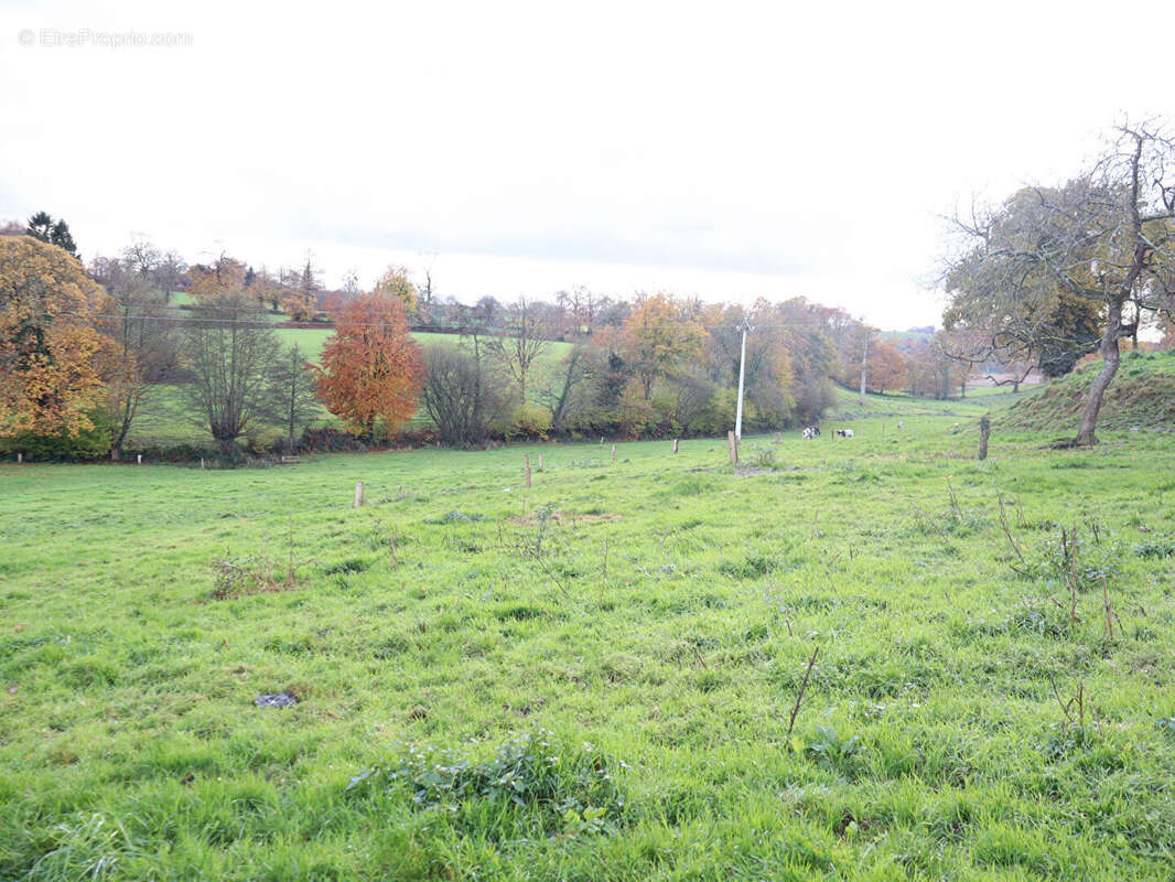 Maison à LE TEILLEUL