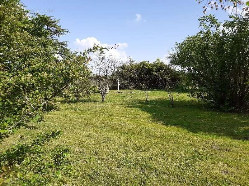 Propriété à rénover sans voisins proches et 5000m² de terrain - photo 16