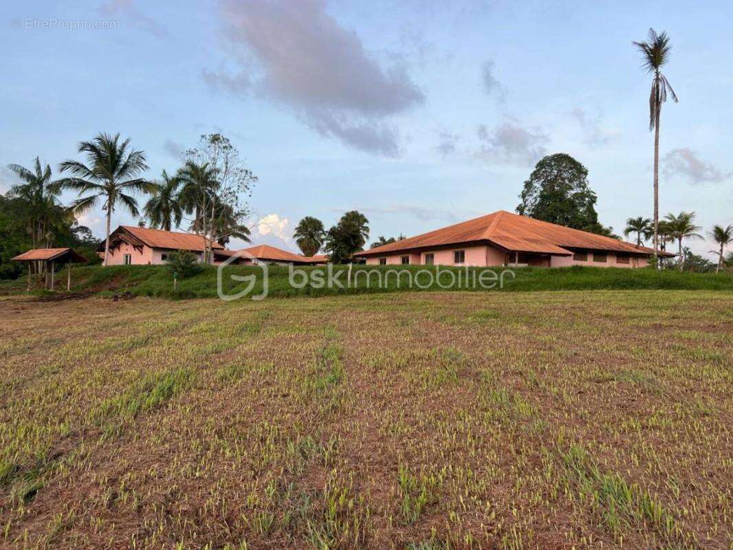 Guyane – ancien centre de rééducation sur 2,58 ha – 1 429 m² bâtis – projets agricoles, médico-sociaux, éducatifs ou collectifs - photo 10