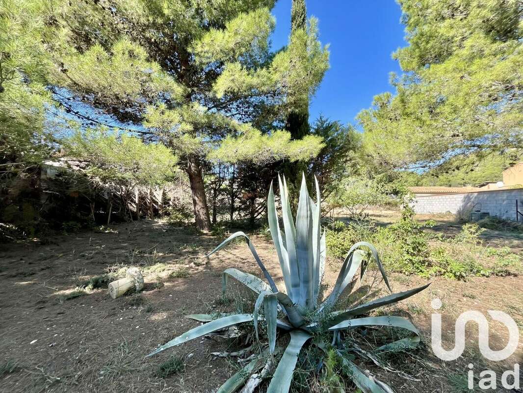 Photo 7 - Terrain à ROQUEFORT-DES-CORBIERES