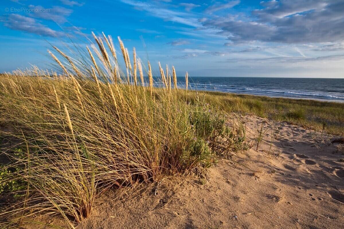 Terrain à JARD-SUR-MER